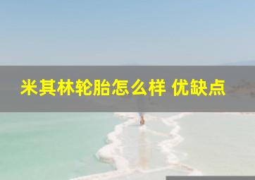 米其林轮胎怎么样 优缺点